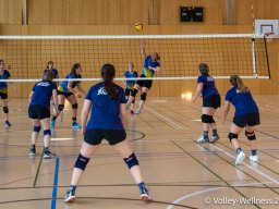 2026-coupe-dames