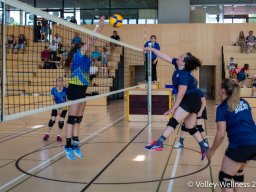 2026-coupe-dames